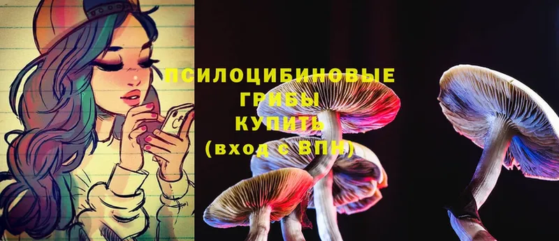 blacksprut рабочий сайт  Кирсанов  Галлюциногенные грибы Magic Shrooms  купить наркоту 